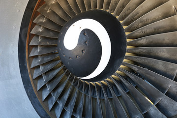 Aircraft Engine Fan Blades