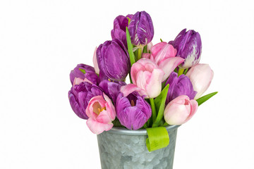 pink and purple tulip bouquet in metal bucket isolated on white