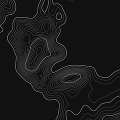 Topographic map. Topographical background. Linear graphics. Vector illustration.