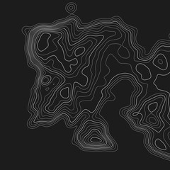 Topographic map. Topographical background. Linear graphics. Vector illustration.