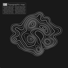Topographic map. Topographical background. Linear graphics. Vector illustration.