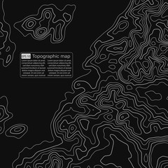 Topographic map. Topographical background. Linear graphics. Vector illustration.