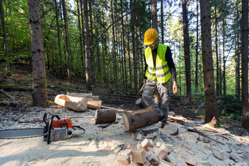 Lumberjack logger worker in protective gear cutting firewood timber tree in forest with chainsaw