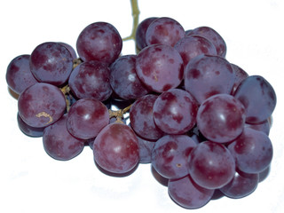 a bunch of dark red large grapes on a white background