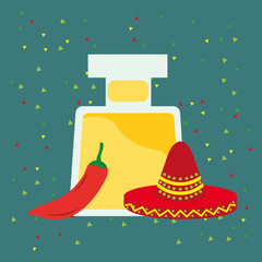 Fototapeta na wymiar viva mexico celebration bottle with lemon liqueur charro hat serpentine vector illistration