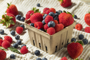 Raw Red Organic Mixed Berries