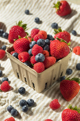 Raw Red Organic Mixed Berries