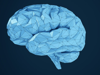 3d Illustration of a human brain consisting of lines and polygon shapes