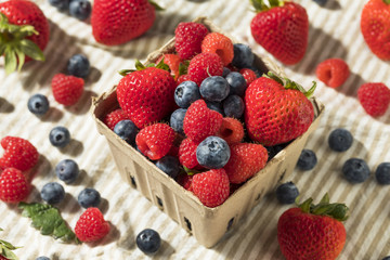 Raw Red Organic Mixed Berries