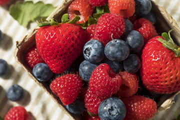 Raw Red Organic Mixed Berries