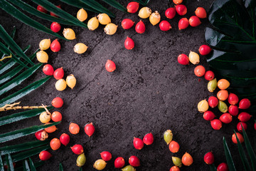 plam seed with tropical leaf border frame on black table nature ingredient ideas concept