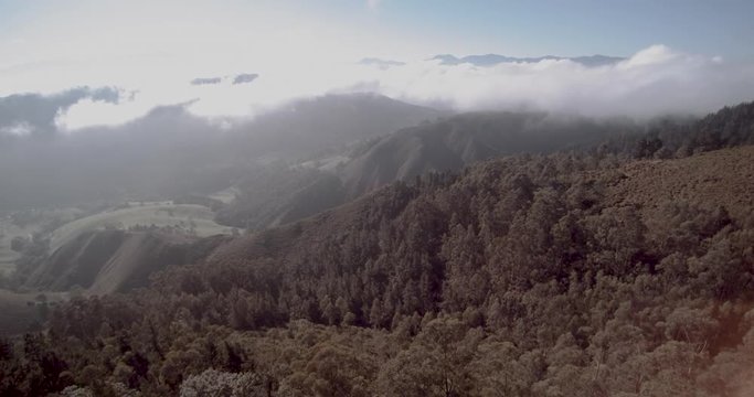 Fliying with fog over the forest
