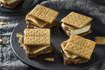 Homemade Chocolate Smores with Marshmallows