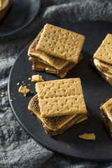 Homemade Chocolate Smores with Marshmallows