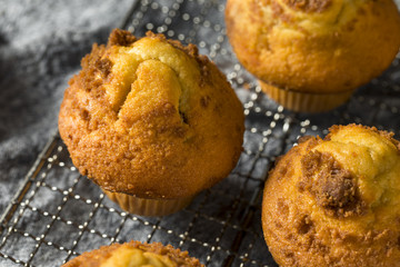Homemade Sweet Cinnamon Muffins