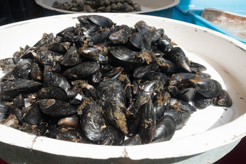 fresh mussels at the market