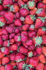 Fresh harvested ripe red organic perfect strawberry - Food Frame Background. Healthy Food Zero Calories Diet Vitamins Nutrition Harvest