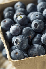 Raw Blue Organic Blueberries