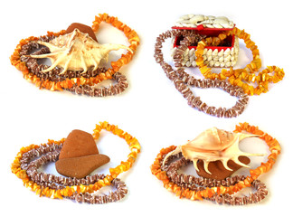 coral necklace, large shell on the rock box with Bright coral isolated on a white background