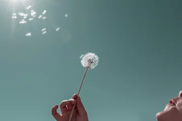  Dandelion seed against clear sky © P b j