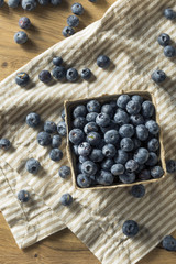 Raw Blue Organic Blueberries