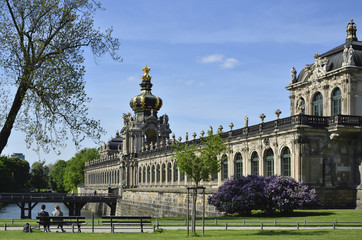 blühender Rhododendron am Zwinger in Dresden