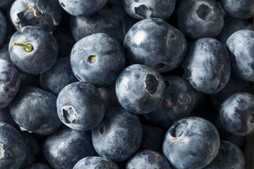 Raw Blue Organic Blueberries