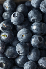 Raw Blue Organic Blueberries