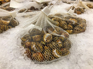 Spotted Babylon Snail freeze in market