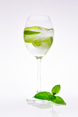 Lime in carbonated water with a mint leaf