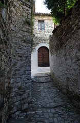 Fototapeta na wymiar Traditional ottoman house in old town Berat known as the White City of Albania