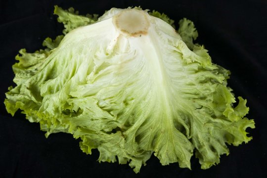 fresh curly lettuce on the black floor,

