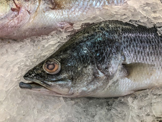 Frozen sea bass in maket Thailand