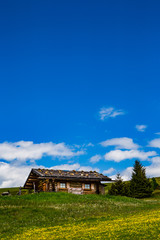 hut in the alps