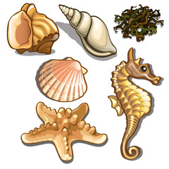 Set of sea animals isolated on white background. Seafood. Vector illustration.