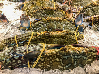 Crab sale at a market