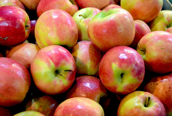 Fototapeta na wymiar Heaven of ripe apples