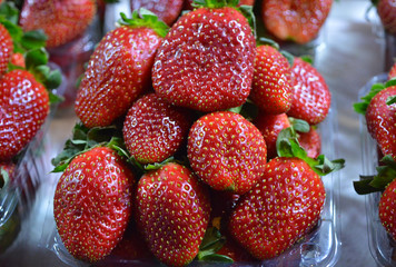  Paradise of ripe strawberry