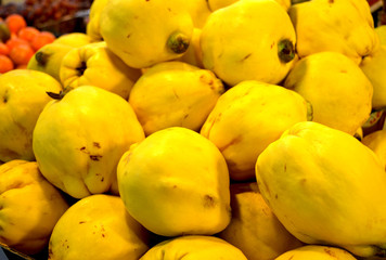 Heaven of ripe apples