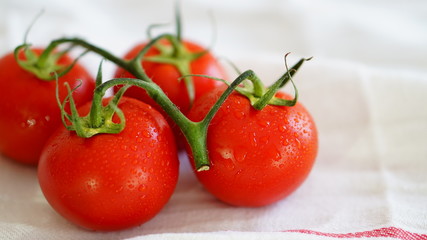 Tomatoes with white background on the table