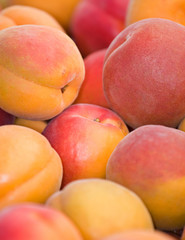 Fototapeta na wymiar Organic Peaches and Nectarines
