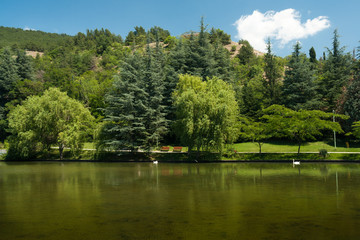Fototapeta na wymiar Peaceful green park in Sandanski city, Bulgaria