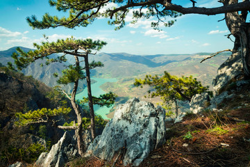 Stunning mountain landscape view on the lake. Tara mountain in Serbia.