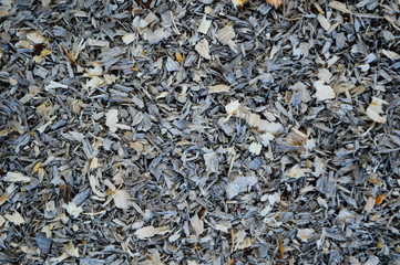 close up sawdust texture background