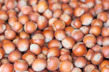  Dried hazelnuts in close-up