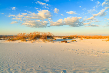 Beautiful Florida panhandle beach