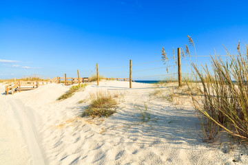Beautiful Florida panhandle beach