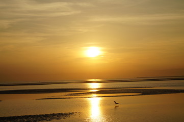 Sunset yellow on the beach