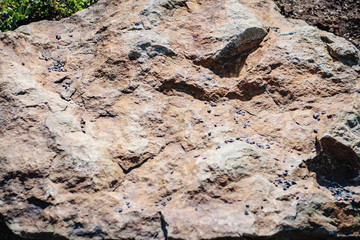 rocky terrain background