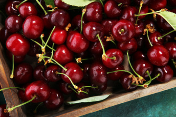 Cherry. Red fresh bunch of cherries on the table